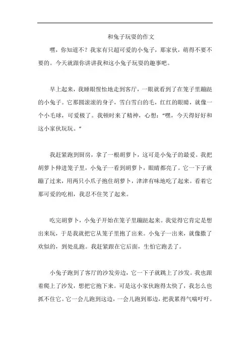 和兔子玩耍的作文