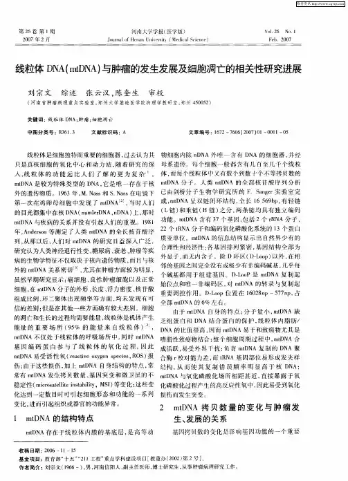 线粒体DNA(mtDNA)与肿瘤的发生发展及细胞凋亡的相关性研究进展