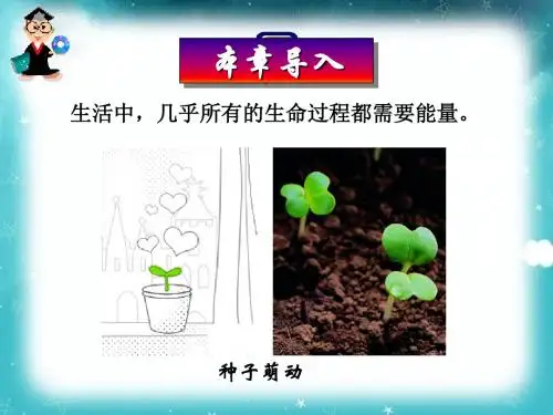 高中生物必修一第5章  细胞的能量供应和利用本章导入教学课件