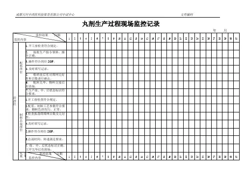 丸剂生产过程现场监控记录