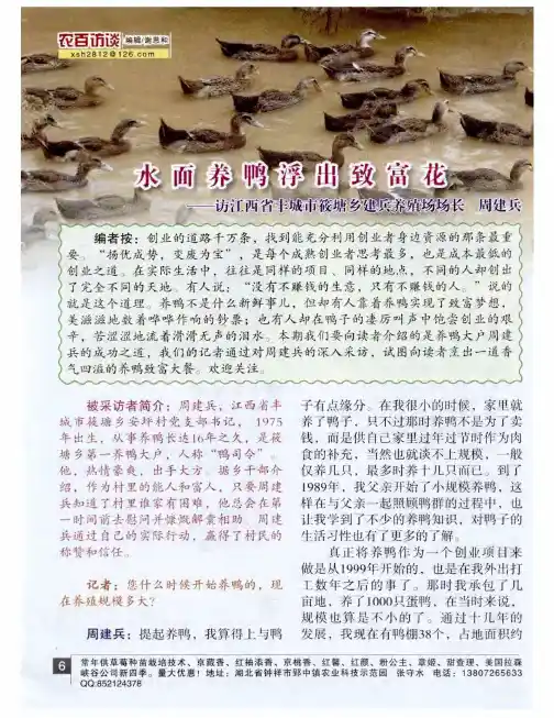 水面养鸭浮出致富花——访江西省丰城市筱塘乡建兵养殖场场长  周建兵