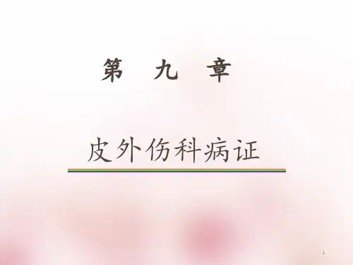 蛇串疮  ppt课件