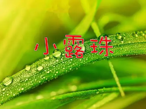 冀教版二年级语文下册《二单元  8小露珠》课件_16