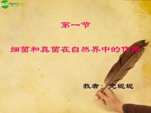 八年级生物上册_细菌和真菌在自然界中的作用课件_人教新课标版1