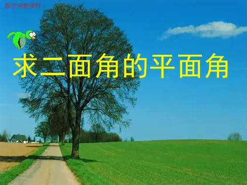 (新)高二数学《二面角》教学课件