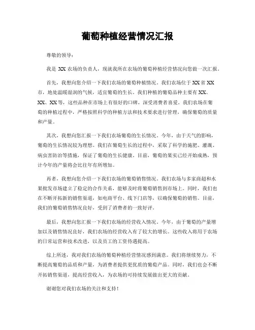 葡萄种植经营情况汇报
