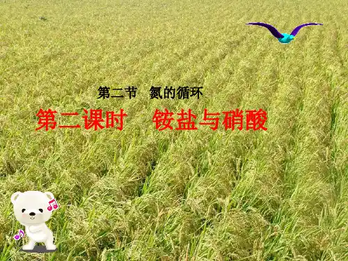 鲁科版化学必修一3.2氮的循环精品课件PPT