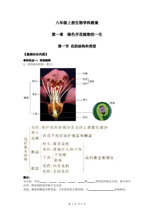 【八上济南版生物】第一节 花的结构和类型