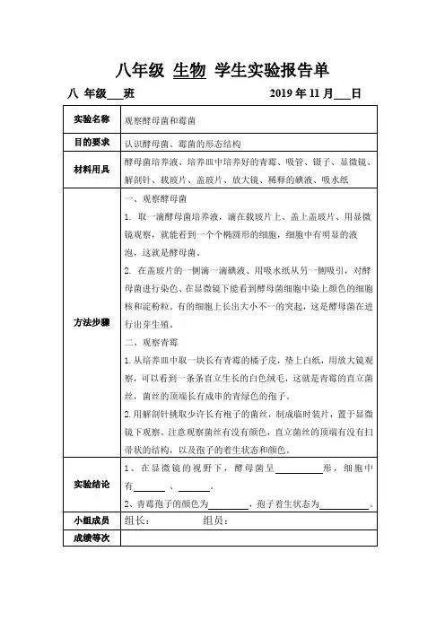 观察酵母菌和霉菌  实验报告单