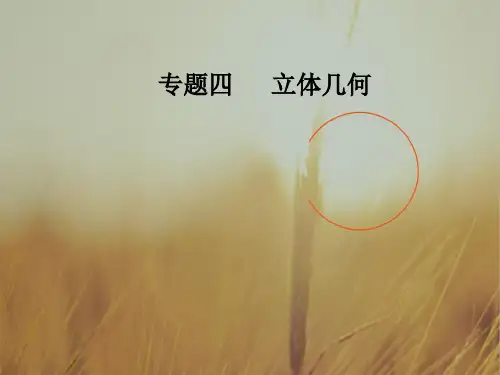 最新-2021高考新课标数学理二轮专题复习课件：专题四第1讲立体几何中的计算与位置关系 精品
