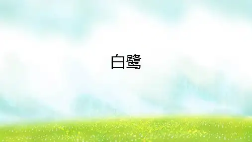 第1课《白鹭》课件-统编版语文五年级上册