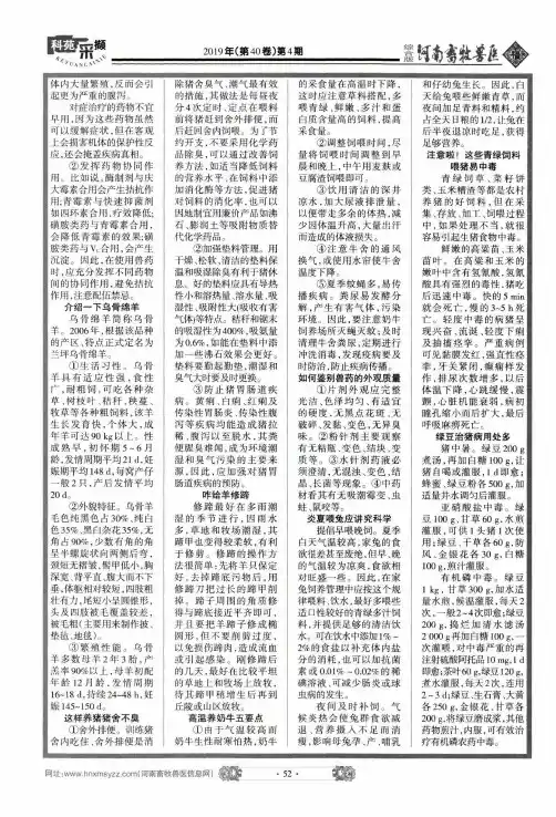 介绍一下乌骨绵羊