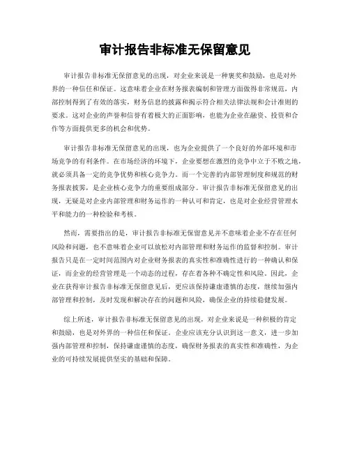 审计报告非标准无保留意见