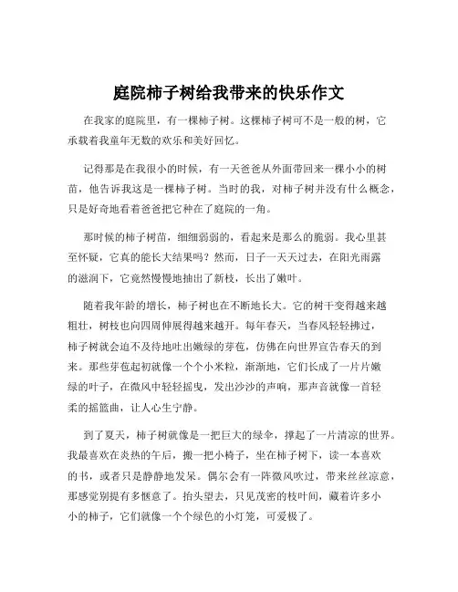 庭院柿子树给我带来的快乐作文