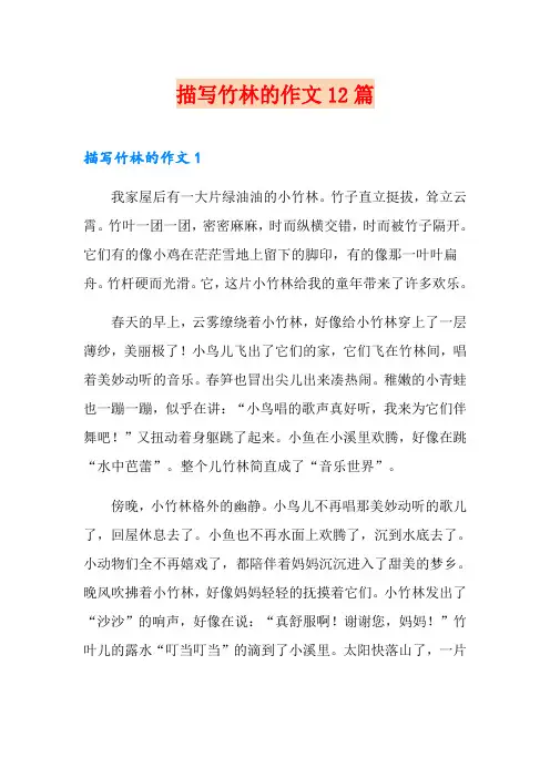 描写竹林的作文12篇