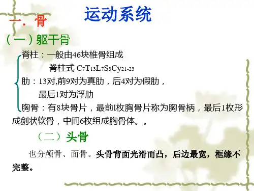 猫的解剖生理特征