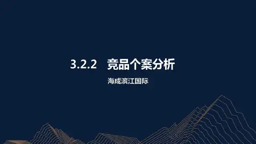 2020年奉节海成滨江国际商业个案分析