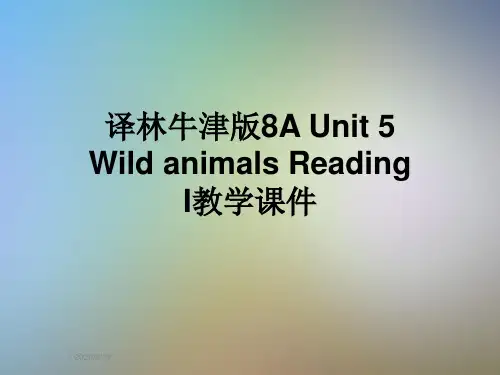 译林牛津版8A Unit 5 Wild animals Reading I教学课件