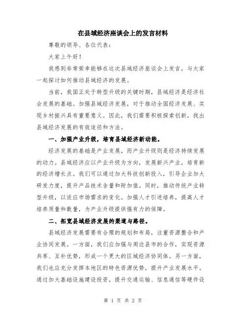 在县域经济座谈会上的发言材料