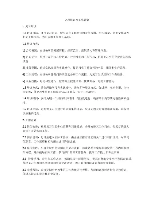 见习培训及工作计划