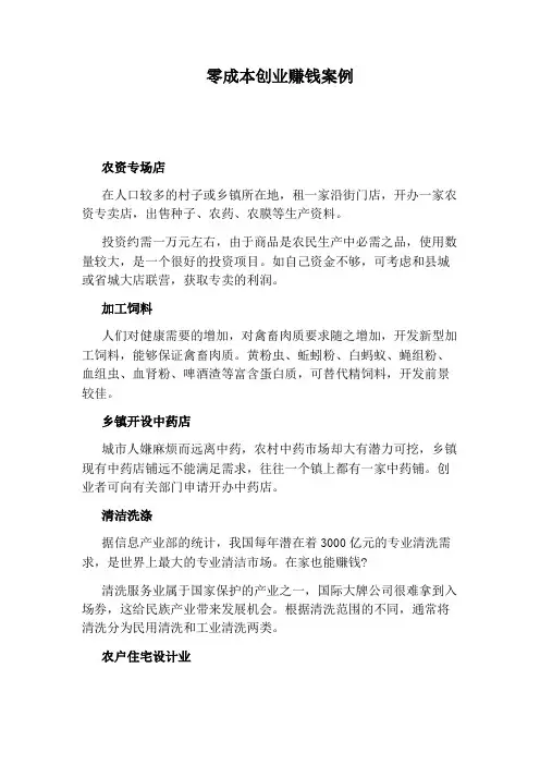 零成本创业赚钱案例