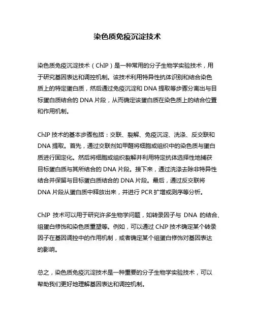 染色质免疫沉淀技术