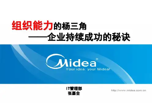 组织能力的杨三角