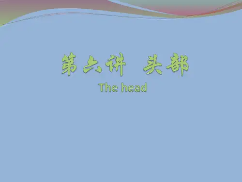 局部解剖学PPT课件 头部解剖 概述