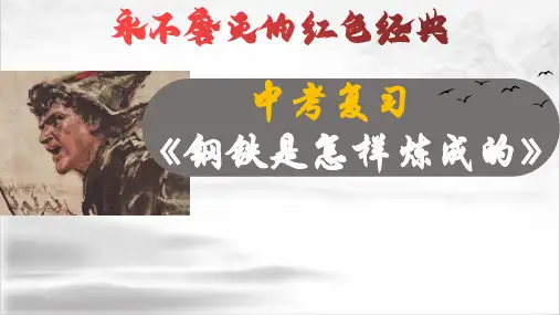 15《钢铁是怎样炼成的》：永不磨灭的红色经典(上)2023年中考语文名著复习