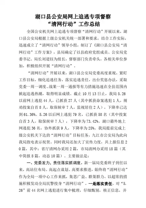 湖口县公安局清网行动工作总结