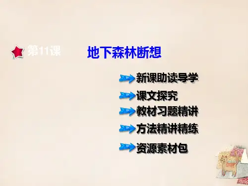 2016年春九年级语文下册 第三单元 第11课《地下森林断想》课件 (新版)新人教版