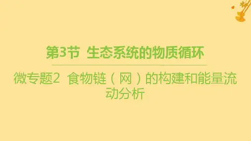 新教材高中生物第3章生态系统及其稳定性微专题2食物链网的构建和能量流动分析课件新人教版选择性必修2