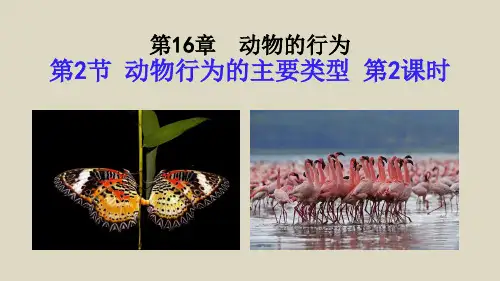 北师大版生物八年级上册 5.16.2动物行为的主要类型(第2课时) 课件
