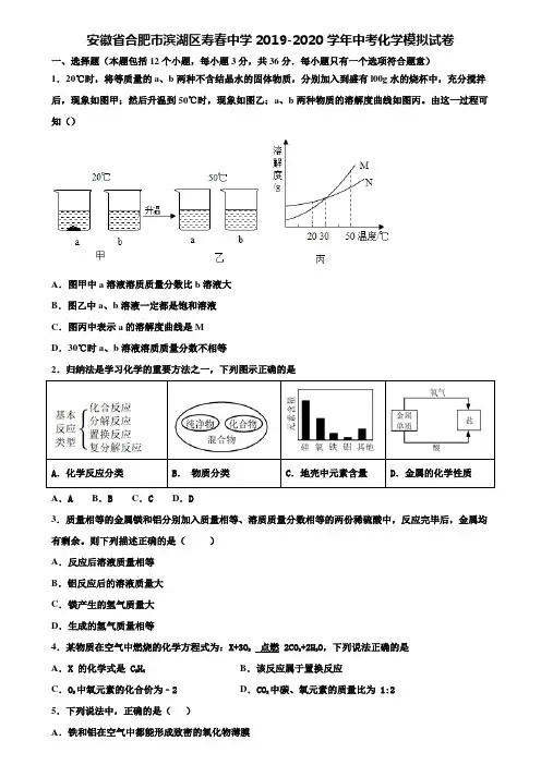 【附20套中考模拟试卷】安徽省合肥市滨湖区寿春中学2019-2020学年中考化学模拟试卷含解析