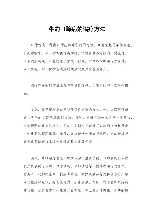 牛的口蹄病的治疗方法 2