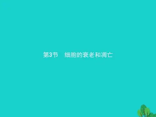 2018版高中生物第六章细胞的生命历程6.3细胞的衰老和凋亡课件