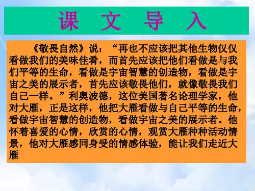 人教版八年级下册语文ppt课件第7课《大雁归来》(共48张PPT)