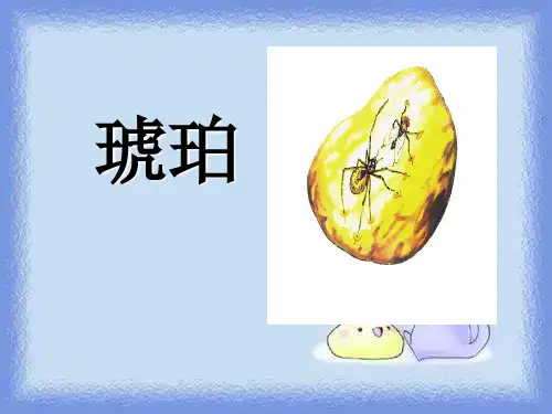 春语文六下《琥珀》精品课件
