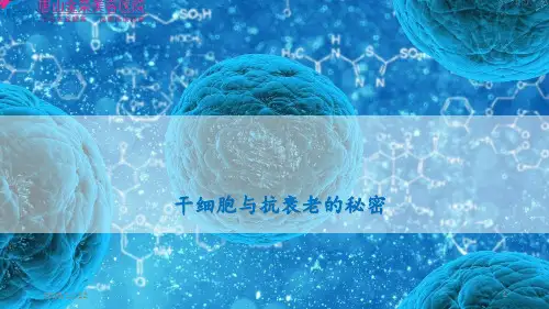 干细胞与抗衰老的秘密 ppt课件