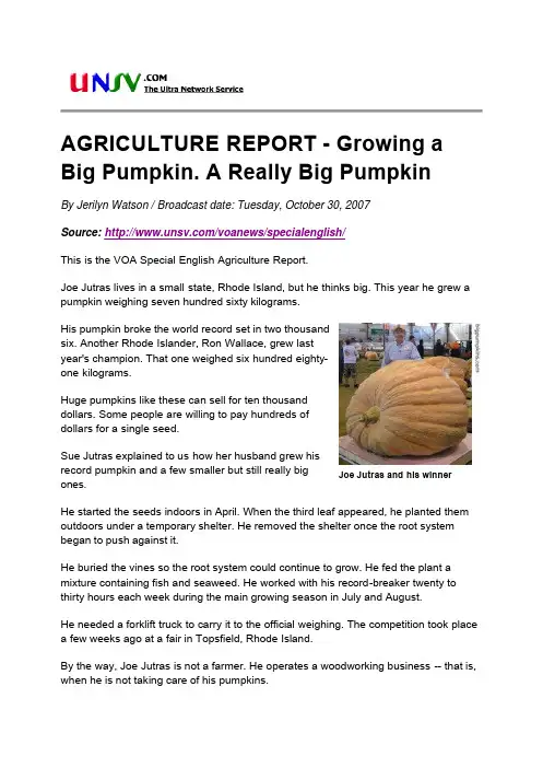 AGRICULTURE REPORT - Growing a Big Pumpkin. A Really Big Pumpkin