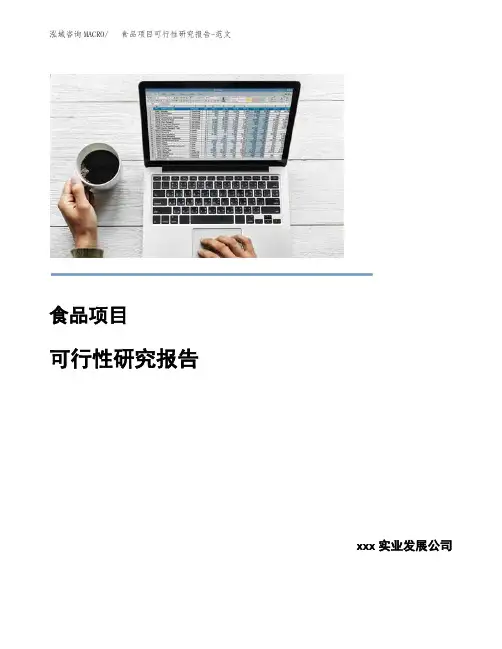 食品项目可行性研究报告-范文