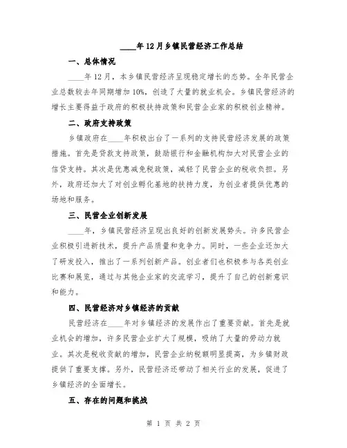 2024年12月乡镇民营经济工作总结