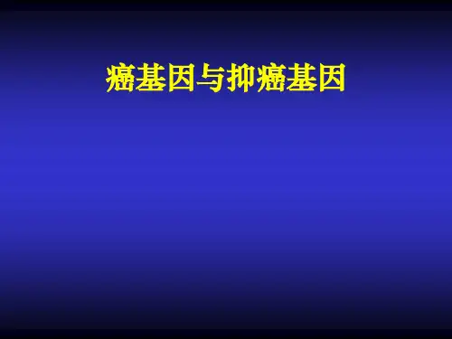 癌基因抑癌基因