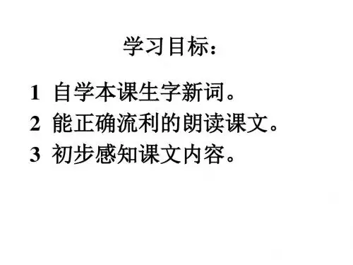 21、《老人与海鸥》PPT课件