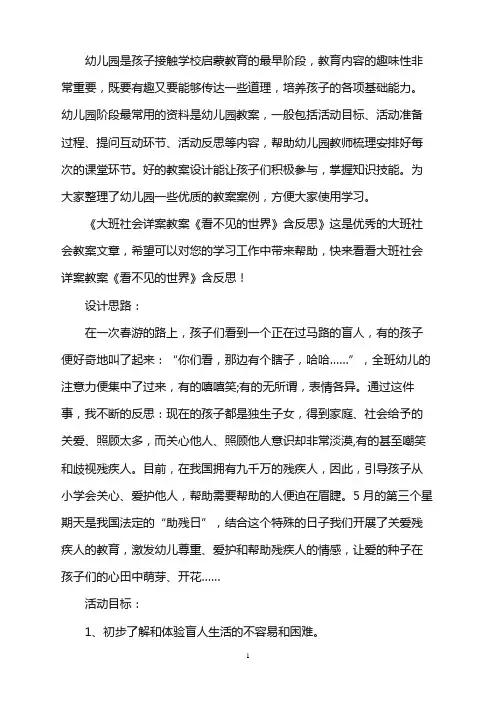 幼儿园大班社会详案教案《看不见的世界》含反思word版