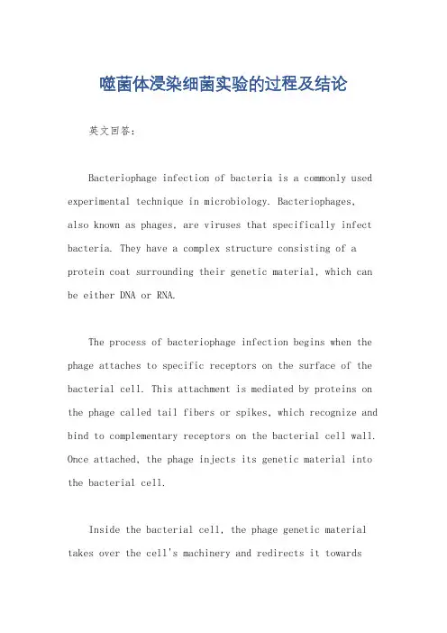 噬菌体浸染细菌实验的过程及结论