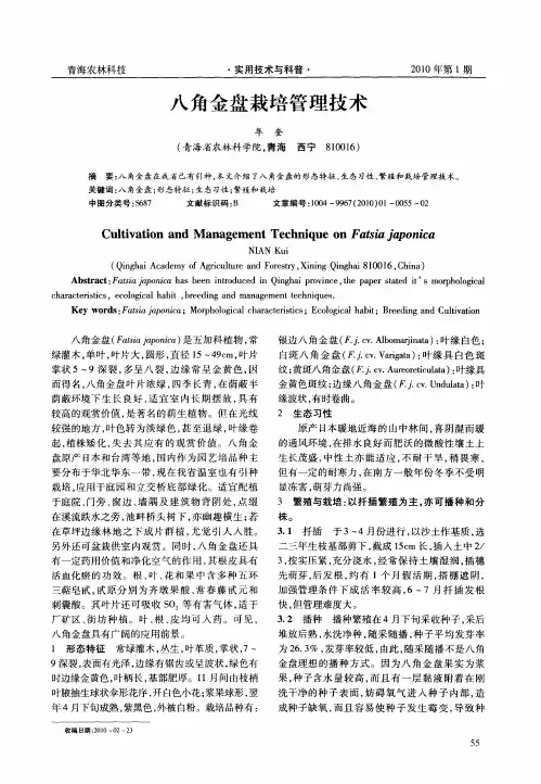 八角金盘栽培管理技术