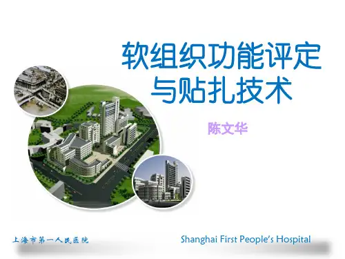 软组织的评定与贴扎技术.pdf