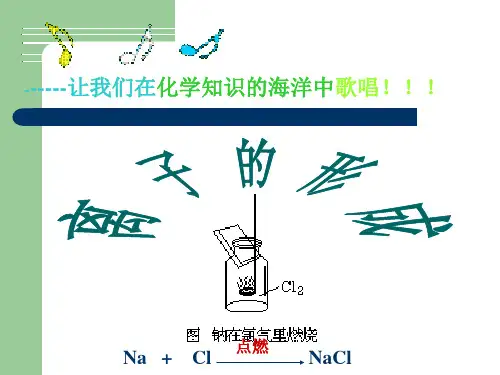 化学：4.3《离子》课件(7)(人教版九年级上)