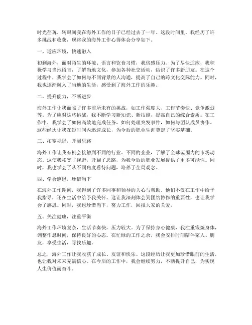 海外工作心得体会